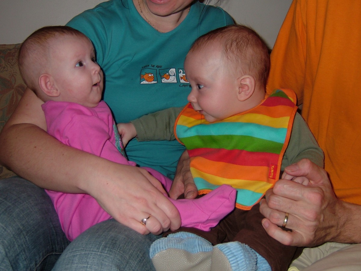 2009_11_29